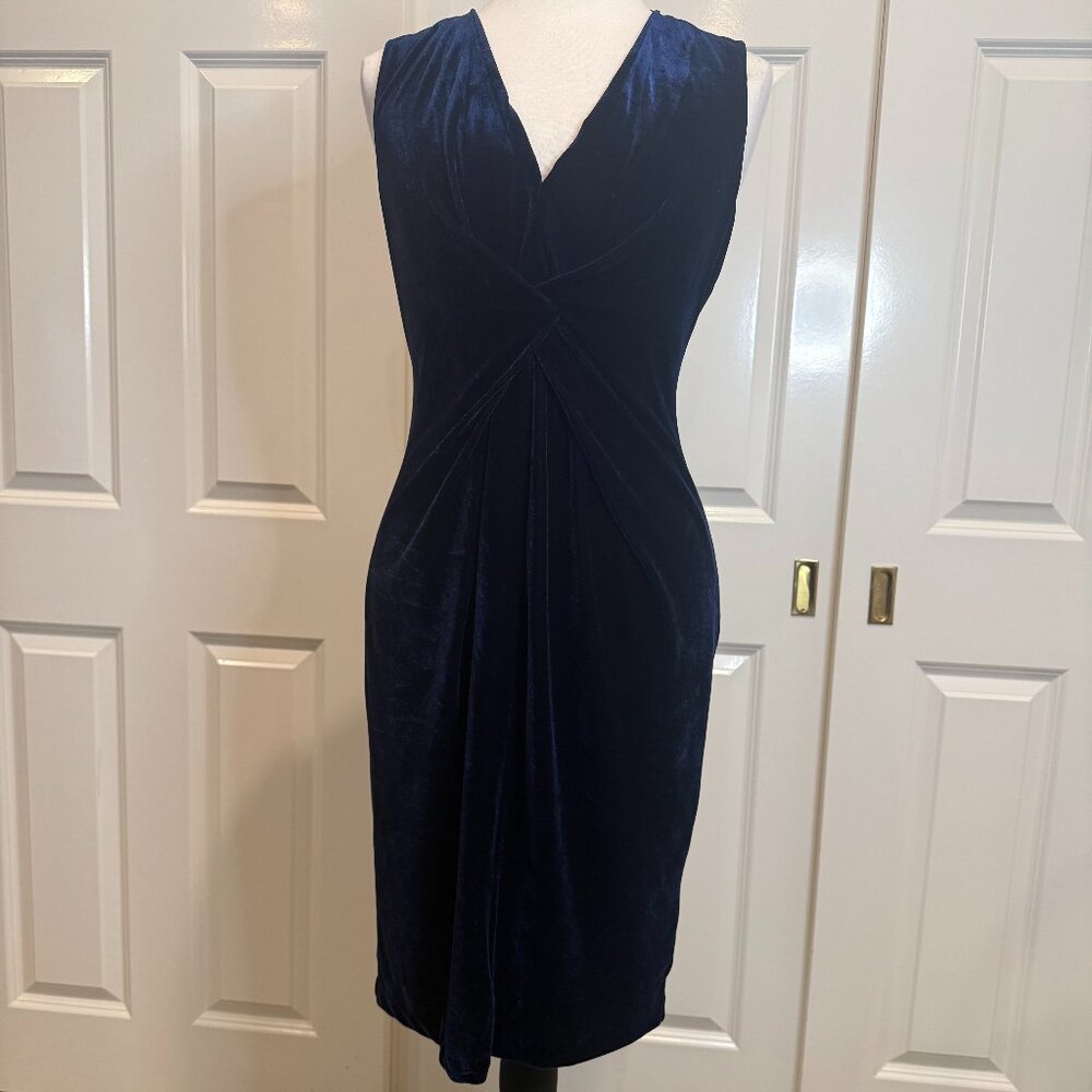 Beautiful Velvet Reiss Dress